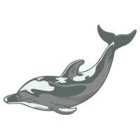 Dolphin01V4clr