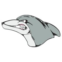 dolphinhead