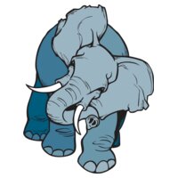 elephant01