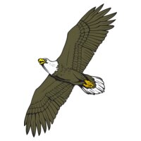 Eagle17V4clr