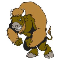 bison03