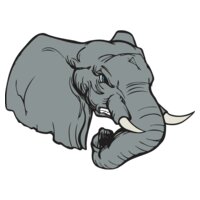ElephantHD6