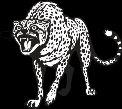 cheetah01V4bw