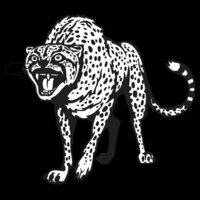 cheetah01V4bw