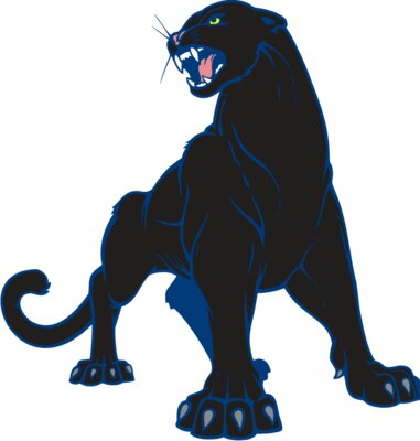 Panther01V4clr