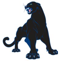 Panther01V4clr