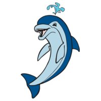 dolphin7