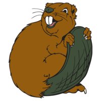beaver9