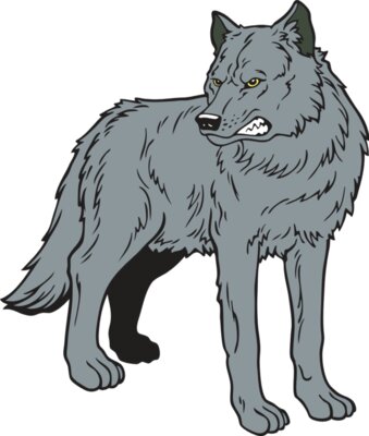 wolf13