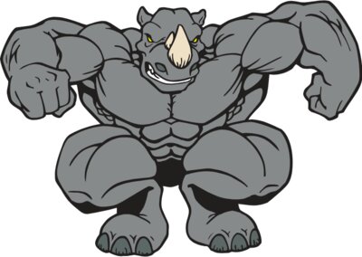 rhino02