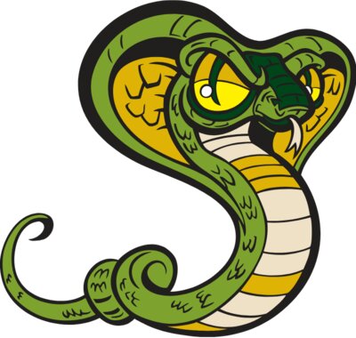 Snake11V4clr