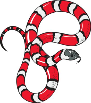 Snake12V4clr