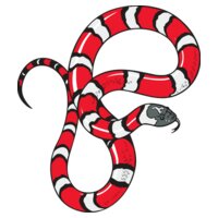 Snake12V4clr
