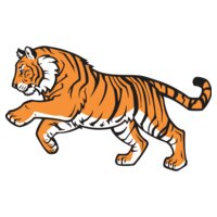 Tiger03V4clr
