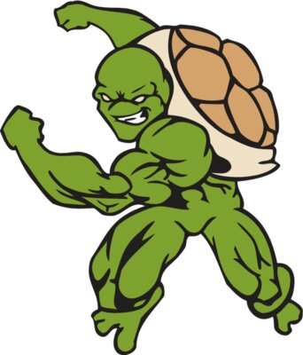 Turtle4