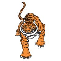 Tiger01V4clr