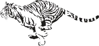 TigerTribal02