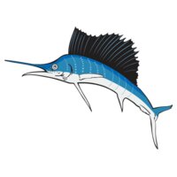 sailfish01NC2clr