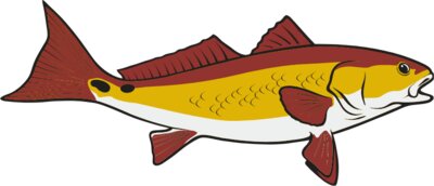 Redfish01NC2clr