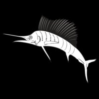 sailfish01NC2bw