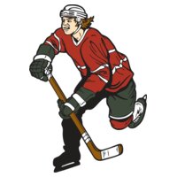 hockey02