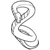 Snakes-Cobras