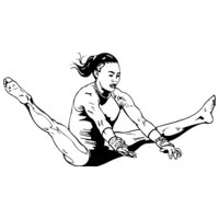 Womens Gymnastics